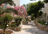 Guler Resort 